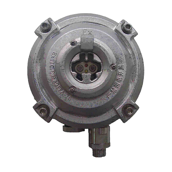 海灣D-9107R防爆點(diǎn)型紅外火焰探測(cè)器